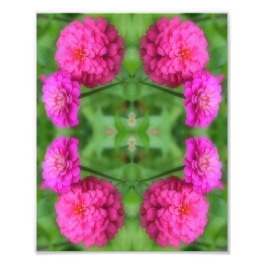 Roze Zinnia Flower Pair Mirror Abstract 8x10 Foto Afdruk (Voorkant)