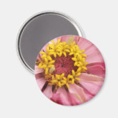  Roze Zinnia Magnet (Voorkant / Achterkant)