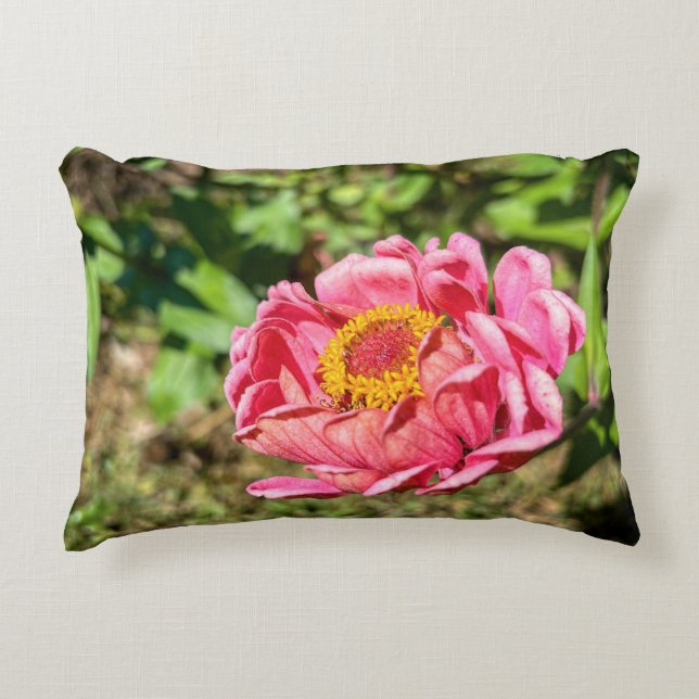 Roze Zinnia met Geel Centrum Accent Kussen (Voorkant)