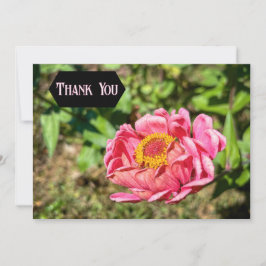 Roze Zinnia met Geel Centrum Bedankkaart