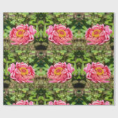 Roze Zinnia met Geel Centrum Cadeaupapier (Vlak)