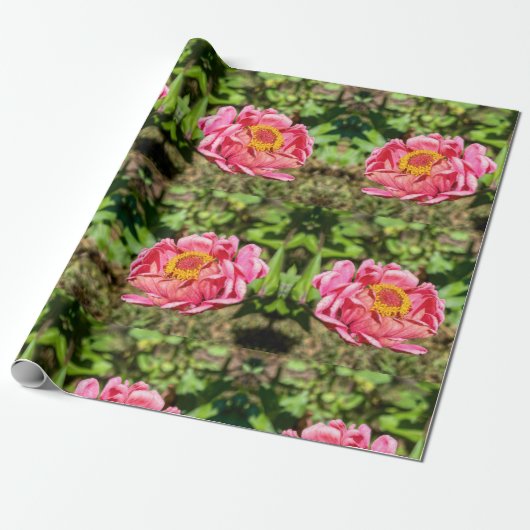 Roze Zinnia met Geel Centrum Cadeaupapier (Uitgerold)