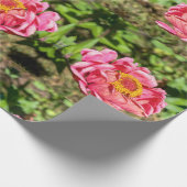 Roze Zinnia met Geel Centrum Cadeaupapier (Hoek)