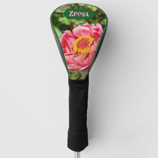Roze Zinnia met geel centrum Golfheadcover (Voorkant)
