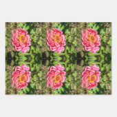 Roze Zinnia met Geel Centrum Inpakpapier Vel (Voorkant)