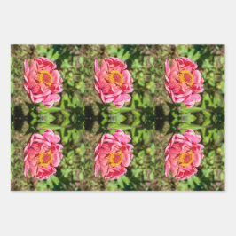 Roze Zinnia met Geel Centrum Inpakpapier Vel