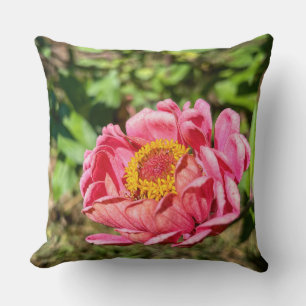 Roze Zinnia met Geel Centrum Kussen