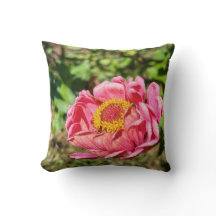 Roze Zinnia met Geel Centrum