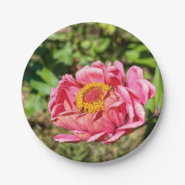 Roze Zinnia met Geel Centrum Papieren Bordje