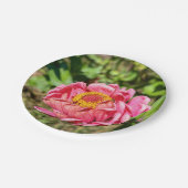 Roze Zinnia met Geel Centrum Papieren Bordje (Gekanteld)