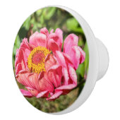 Roze Zinnia met geel middelste tapijt Keramische Knop (Rechts)