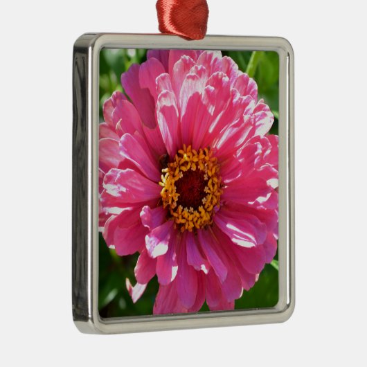 Roze Zinnia Metalen Ornament (Rechts)