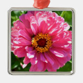 Roze Zinnia Metalen Ornament (Voorkant)