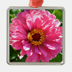 Roze Zinnia Metalen Ornament