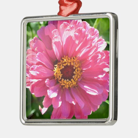 Roze Zinnia Metalen Ornament (Links)