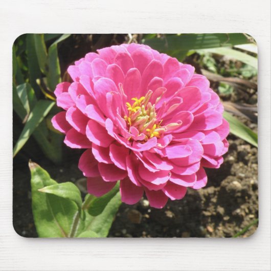 Roze Zinnia-muisvloer Muismat (Voorkant)