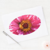 Roze Zinnia Ovale Sticker (Envelop)
