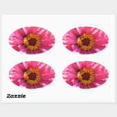 Roze Zinnia Ovale Sticker (Vel)