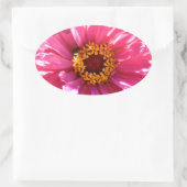 Roze Zinnia Ovale Sticker (Tas)