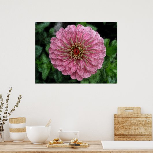 Roze Zinnia Poster (Keuken)