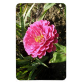 Roze Zinnia Premium Magnet Magneet (Verticaal)