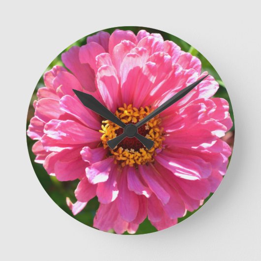 Roze Zinnia Ronde Klok (Voorkant)