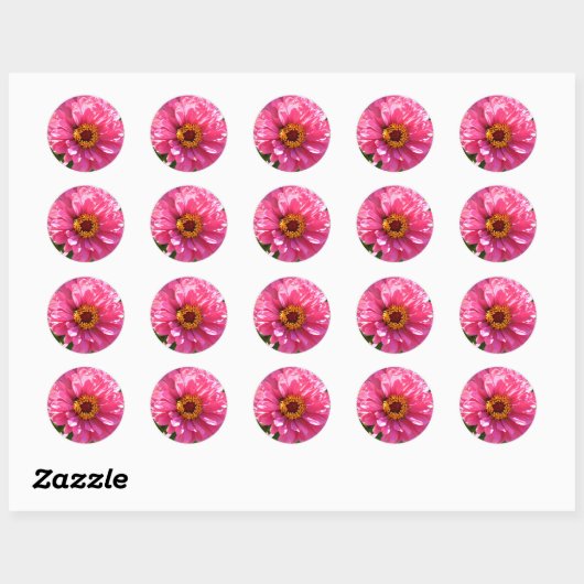 Roze Zinnia Ronde Sticker (Vel)