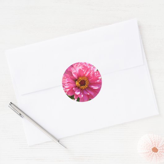 Roze Zinnia Ronde Sticker (Envelop)