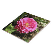 Roze Zinnia Tile Tegeltje (Zijkant)