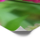 Roze zinnia ventilatorroer dicht poster (Hoek)