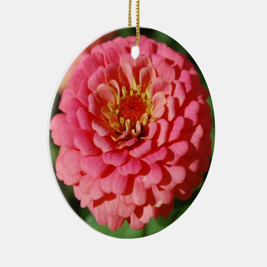 Roze Zinnia-versiering Keramisch Ornament (Rechts)