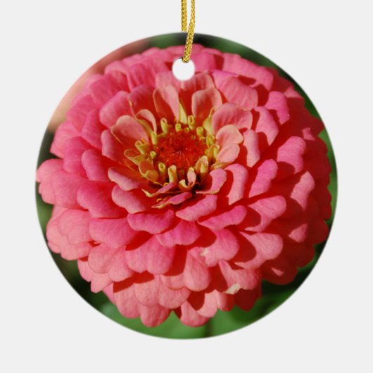 Roze Zinnia-versiering Keramisch Ornament (Voorkant)