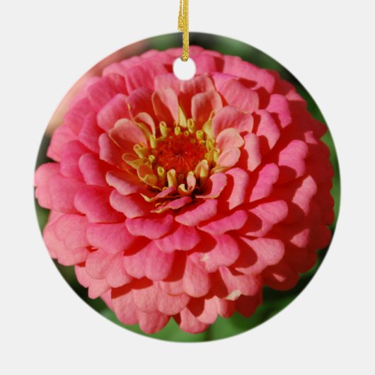 Roze Zinnia-versiering Keramisch Ornament (Achterkant)