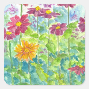 Roze Zinnia Wildflower Waterverf Tuin Vierkante Sticker
