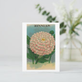  roze zinnia zaadpakket briefkaart (Staand voorkant)