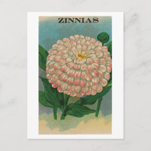  roze zinnia zaadpakket briefkaart