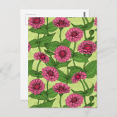 Roze Zinnias op lichtgroen Briefkaart (Voorkant / Achterkant)