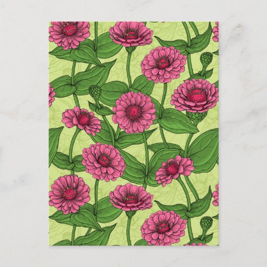 Roze Zinnias op lichtgroen Briefkaart (Voorkant)