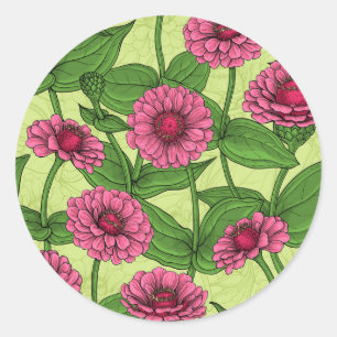 Roze Zinnias op lichtgroen Ronde Sticker