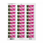 Roze Zoete Erwt Mailing Label (Full Sheet)