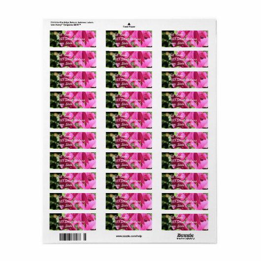 Roze Zoete Erwt Mailing Label (Full Sheet)