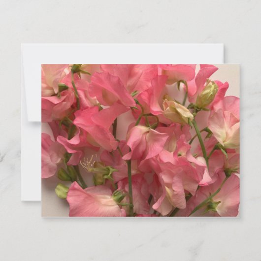 roze zoete erwten, vers save the date (Achterkant)