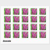 Roze Zoete Erwtenbloemen Vierkante Sticker (Vel)