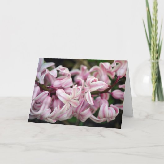 Roze Zoete Geurende Hyacint Kaart (Voorkant)