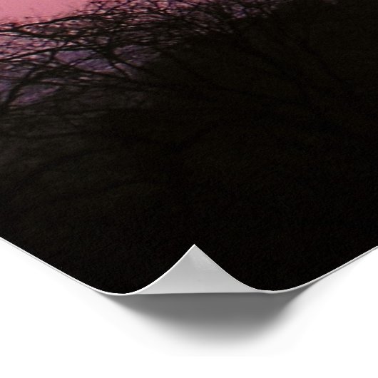 Roze Zoetheid Poster (Hoek)