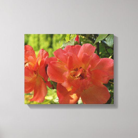 Roze Zomer Rozen Flower Photo Single Print (Voorkant)