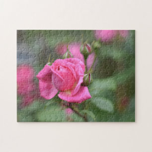 Roze zomerRoos Bloem Natuur Fotografie Tuin Legpuzzel