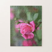 Roze zomerRoos Bloem Natuur Fotografie Tuin Legpuzzel (Verticaal)
