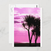 roze zonnebank briefkaart (Voorkant / Achterkant)