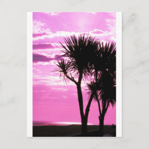 roze zonnebank briefkaart